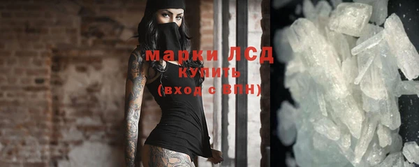 СК Зерноград