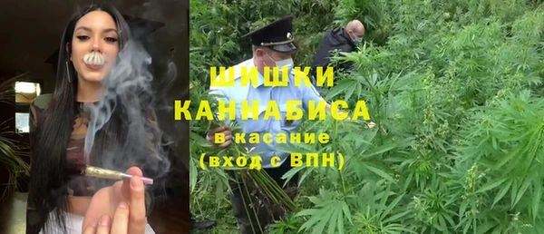 СК Зерноград