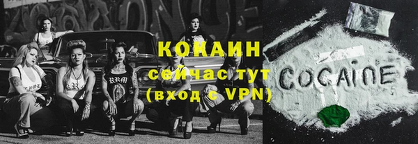 СК Зерноград