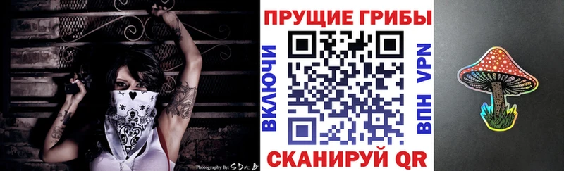 Псилоцибиновые грибы Psilocybine cubensis  Купить закладки  Карталы 